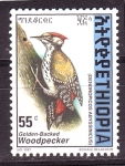 Stamps Africa - Ethiopia -  Pajaro carpintero