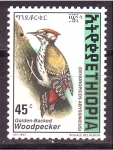 Stamps Ethiopia -  Pajaro carpintero