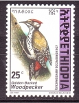 Stamps Ethiopia -  Pajaro carpintero