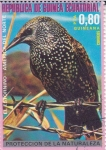 Stamps Equatorial Guinea -  Estornino - Protección de la naturaleza