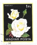 Stamps Hungary -  rosas