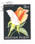 Stamps Hungary -  rosas