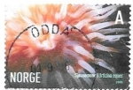 Stamps Norway -  fauna marina