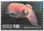 Stamps : Europe : Norway :  fauna marina