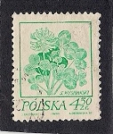 Stamps Poland -  Plantas