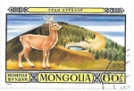 Sellos de Asia - Mongolia -  ciervo