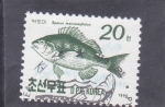Sellos de Asia - Corea del norte -  pez Sparus macrocephalus