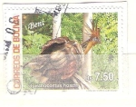 Stamps Bolivia -  beni RESERVADO