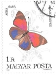 Sellos de Europa - Hungra -  MARIPOSA