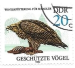Stamps : Europe : Germany :  Aves rapaces