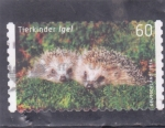 Stamps Germany -  cachorros de erizo 