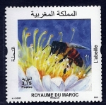 Stamps Morocco -  fauna  la aveja