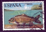 Stamps Spain -  fauna     carpa