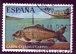 Stamps Spain -  fauna    carpa