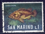 Stamps San Marino -  fauna   Cernia bruna