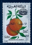 Stamps Morocco -  Naranjo