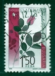 Stamps Bulgaria -  Flor
