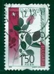 Sellos de Europa - Bulgaria -  Flor