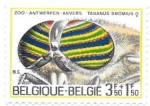 Stamps Belgium -  Tábano