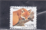 Stamps United States -  zorro rojo