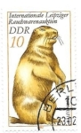 Stamps : Europe : Germany :  castor