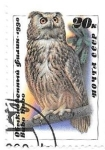 Stamps Russia -  rapaces nocturnas