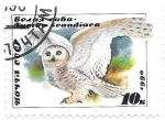 Stamps Russia -  rapaces nocturnas
