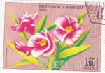 Stamps Equatorial Guinea -  protección de la naturaleza