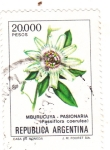 Stamps Argentina -  flores- pasionaria 
