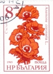 Stamps Bulgaria -  flores- anemone