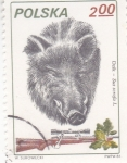 Stamps Poland -  Caza del Jabalí Salvaje