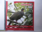 Sellos de America - Colombia -  Pava Caucana- Penelope Persppicax - Risaralda Bird Festival 2018.