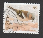 Stamps Switzerland -  Fringillia coelebis