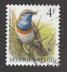 Stamps Belgium -  Garganta azul