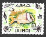Stamps United Arab Emirates -  101 - Pez Cerdo