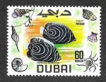 Sellos de Asia - Emiratos rabes Unidos -  108 - Pez Ángel Imperial