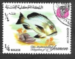 Stamps : Asia : Yemen :  YT239B - Pez Timón