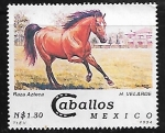 Stamps : America : Mexico :  Caballos: Raza azteca