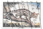 Stamps Spain -  gineta