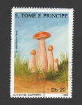 Stamps S�o Tom� and Pr�ncipe -  Clitocybe geotropa
