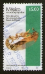 Stamps : America : Mexico :  7  creación popular