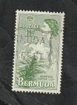 Sellos de America - Bermudas -  135 - Flor lily
