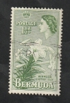 Stamps : America : Bermuda :  135 - Flor lily