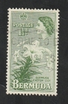 Stamps America - Bermuda -  135 - Flor lily