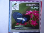 Stamps America - Colombia -  Pequeño Cartero -Heliconius Erato Chestertoni - Rrisaralda Bird Festival 2018