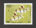 Stamps Cambodia -  Barbus tetrazona
