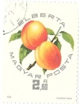 Stamps : Europe : Hungary :  frutos