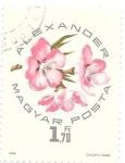 Stamps : Europe : Hungary :  frutos