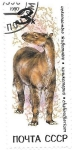 Stamps : Europe : Russia :  Fauna prehistórica