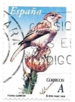 Stamps Spain -  Gorrión